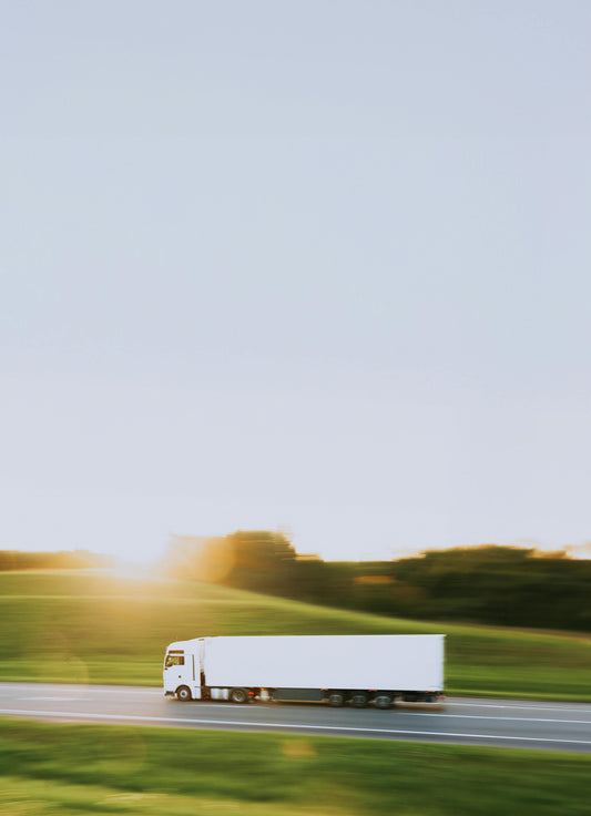 The Importer's Crossroads: Importing Directly vs. Buying from a Distributor