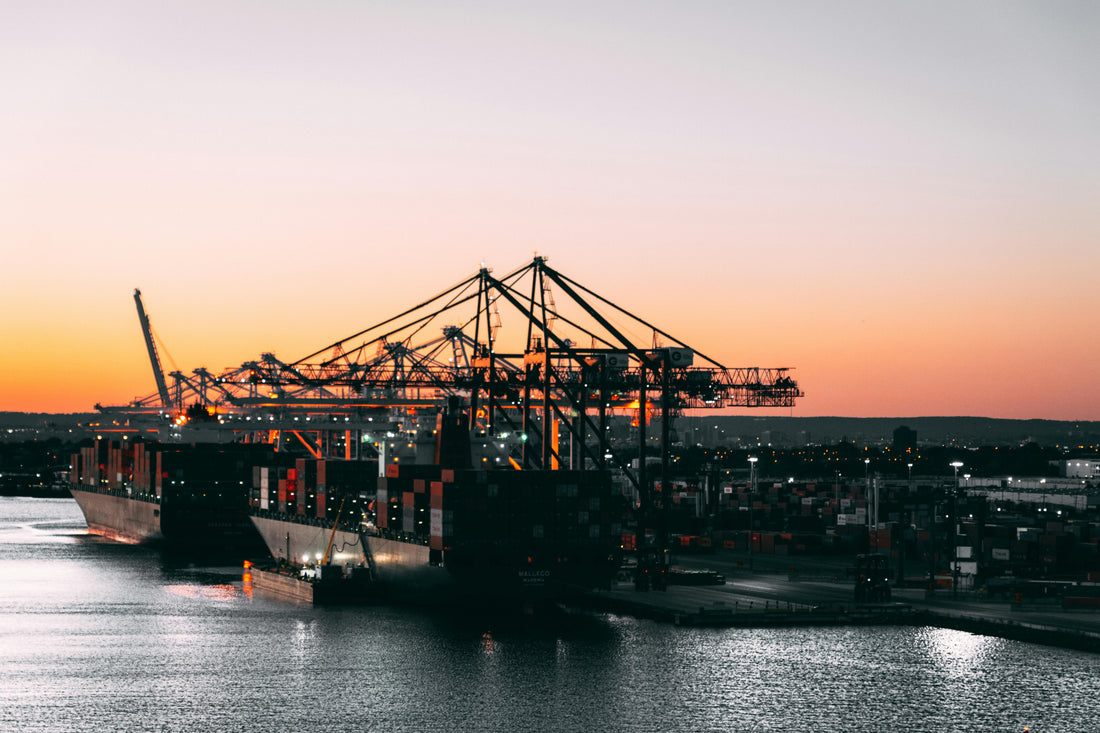 What is ICEGATE & How to Use It: An Importer's Guide