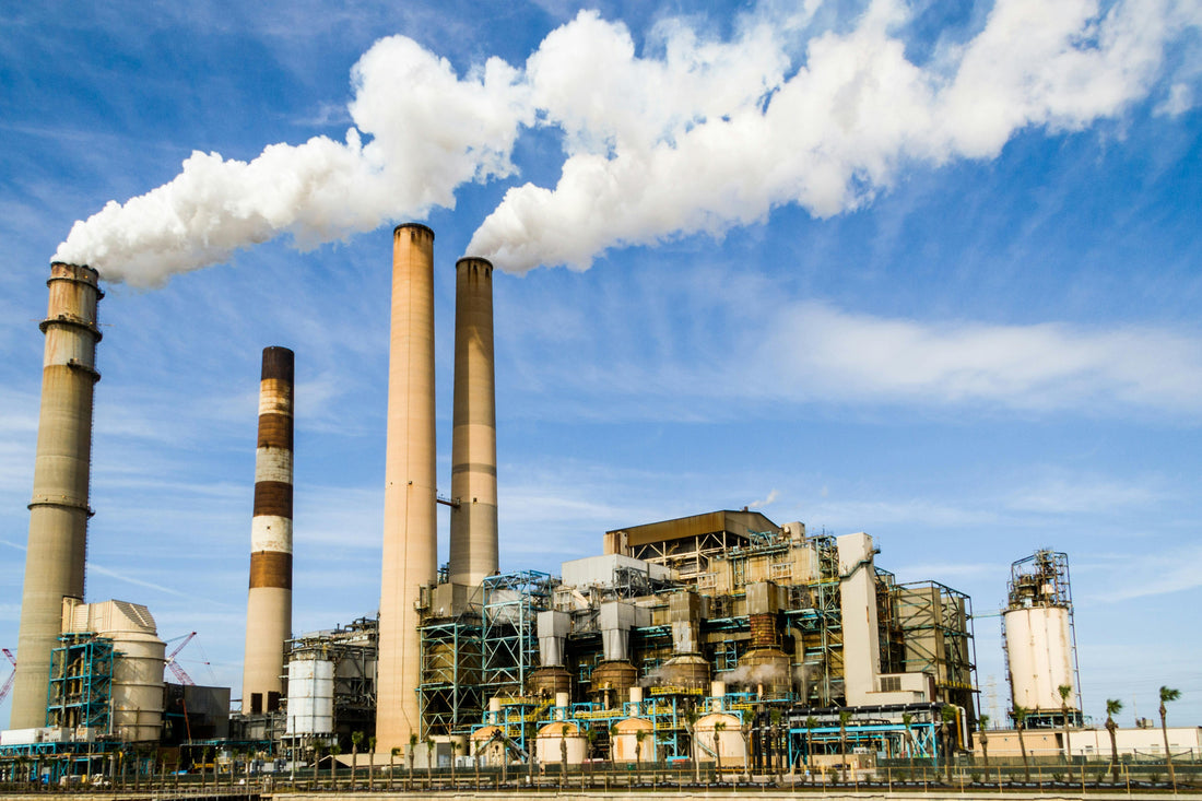 The 'Direct-to-Factory' Myth: Why It Isn’t Always Ideal for Importers