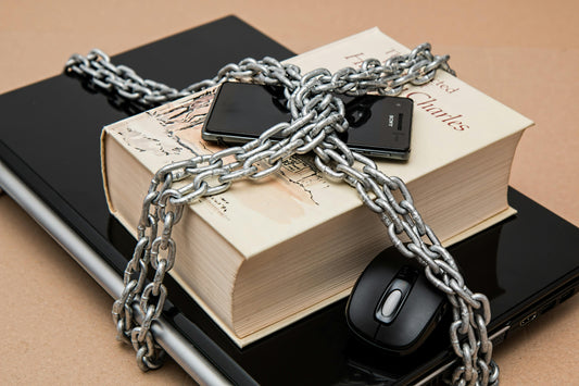 List of Banned or Restricted Imports in India (2025)