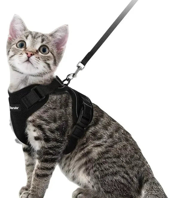 Wholesale Hot Sale Breathable and Anti-break Adjustable Universal for Cats Cat Harness Leash Set