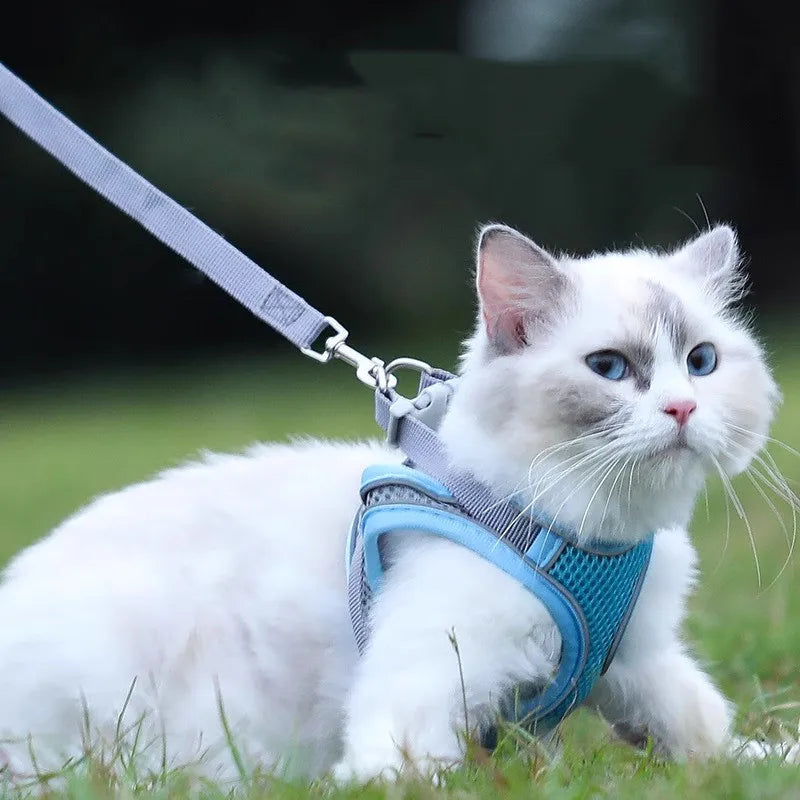 Escape Proof Safe Adjustable Kitten Vest Harnesses Soft Breathable Mesh Jacket with Reflective Strips Cat Harness and Leash Set