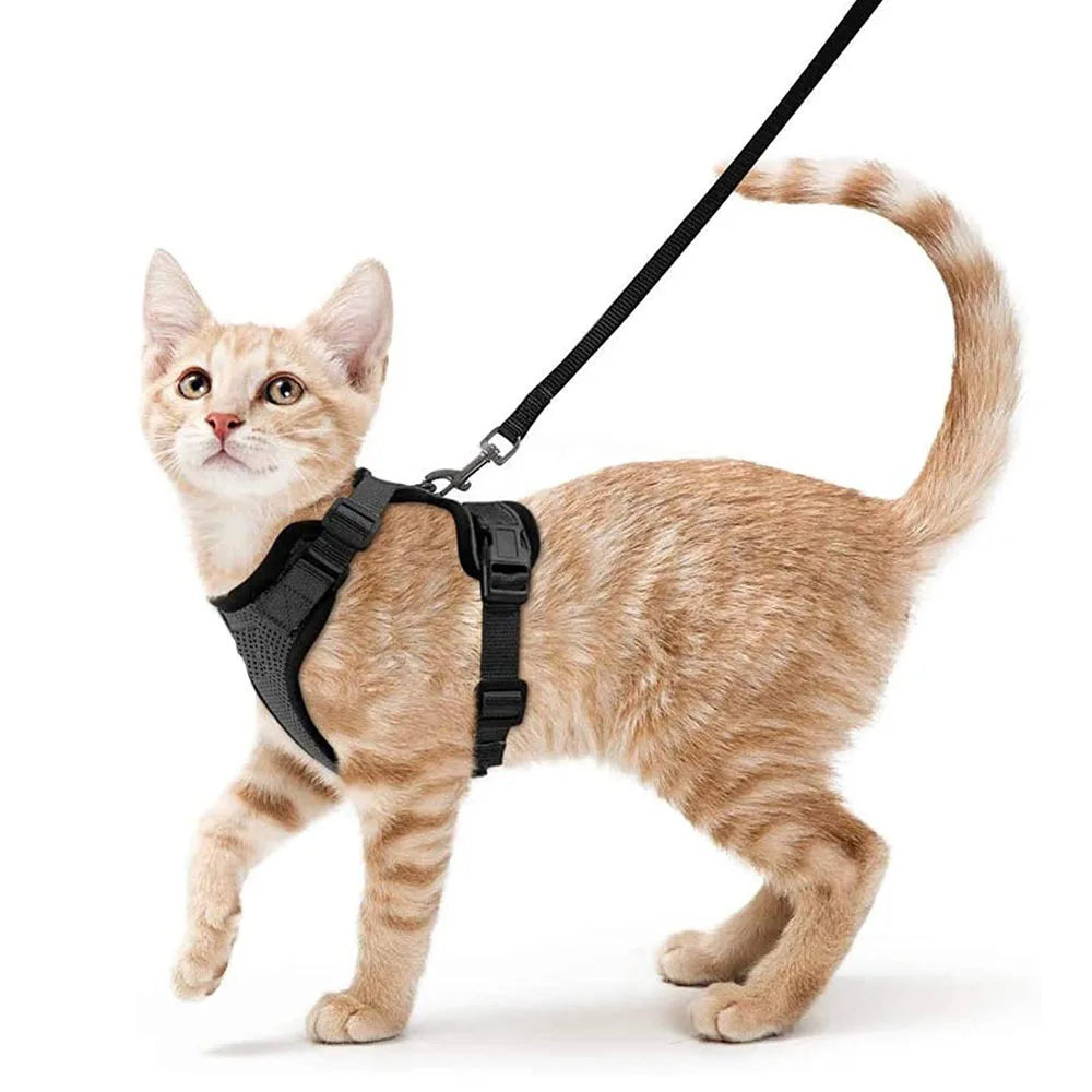Custom Adjustable Cat Harness Set Breathe Freely Reflective Cat Vest and Leash Set Cat Harness