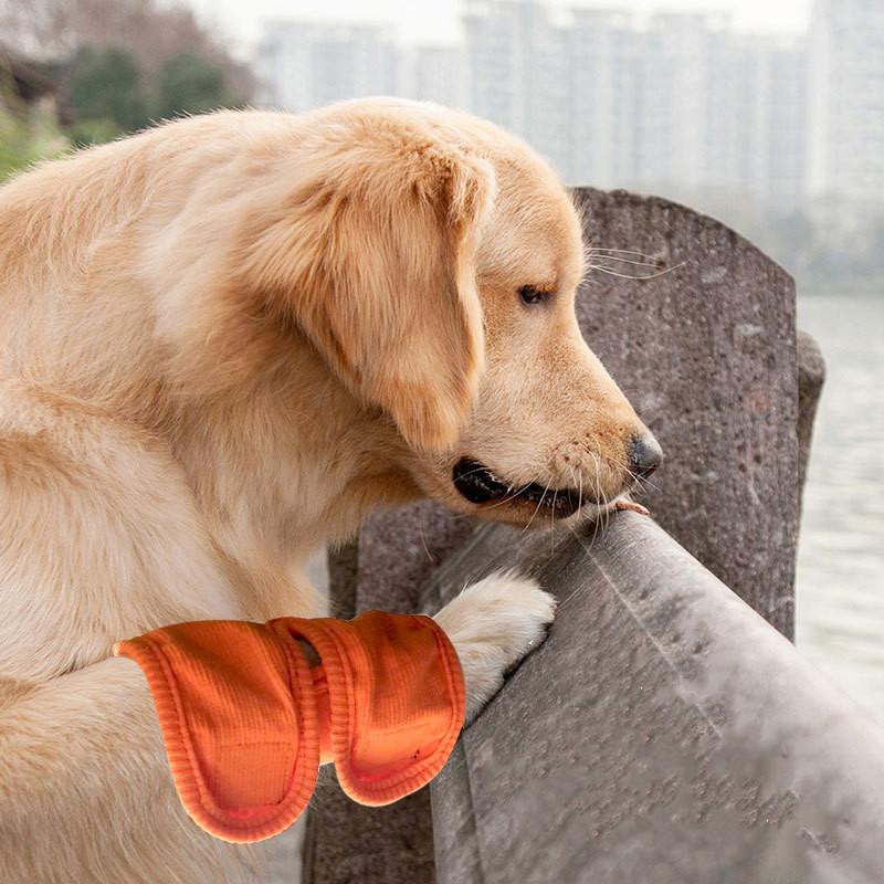 Pet Knee Brace Dog Postoperative Recovery Strap Bracket