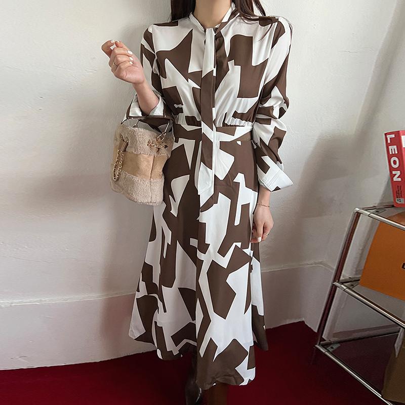 Spring Casual Urban Women's Printed Dress