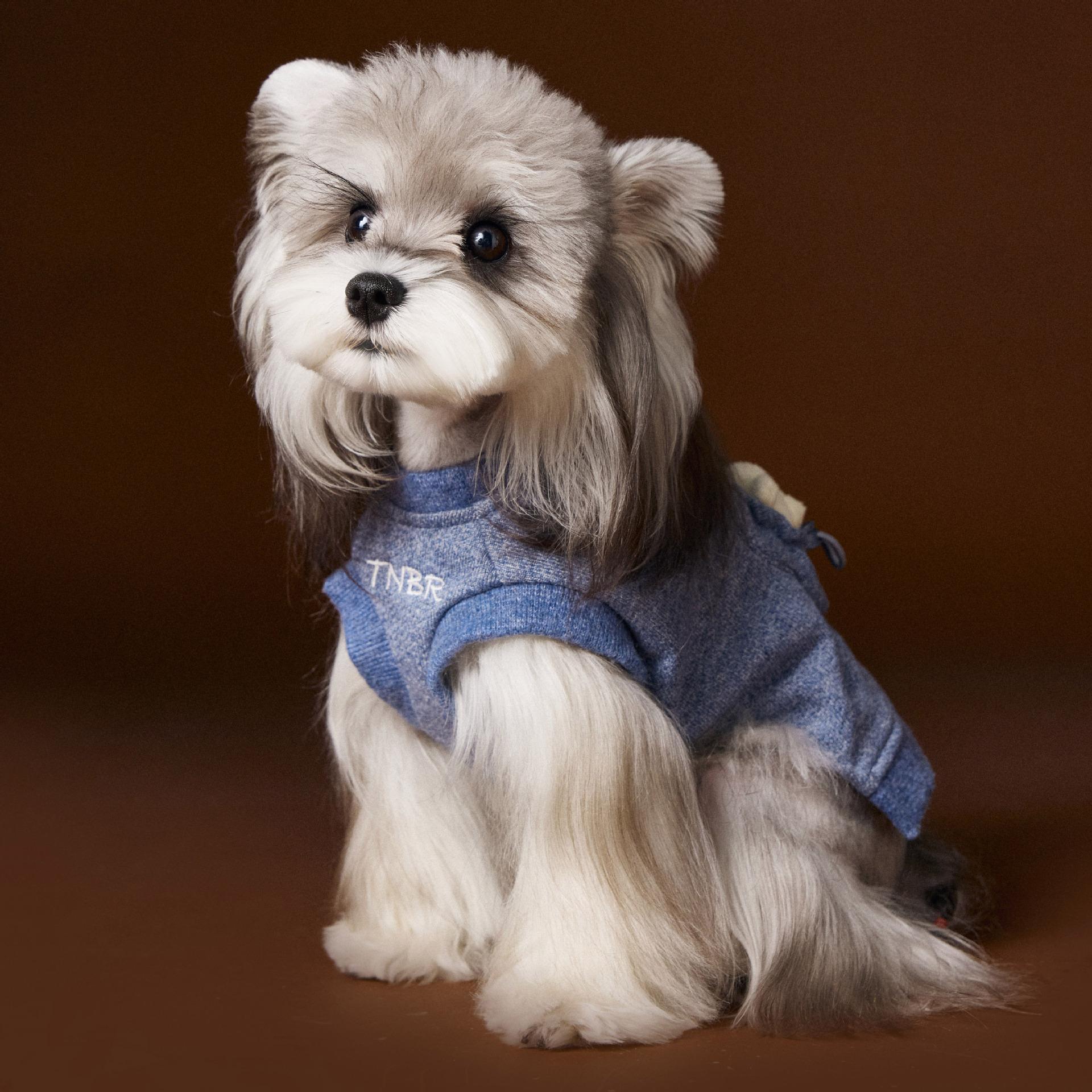 Bichon Maltese Sleeveless Sweater Three-dimensional Bear Head