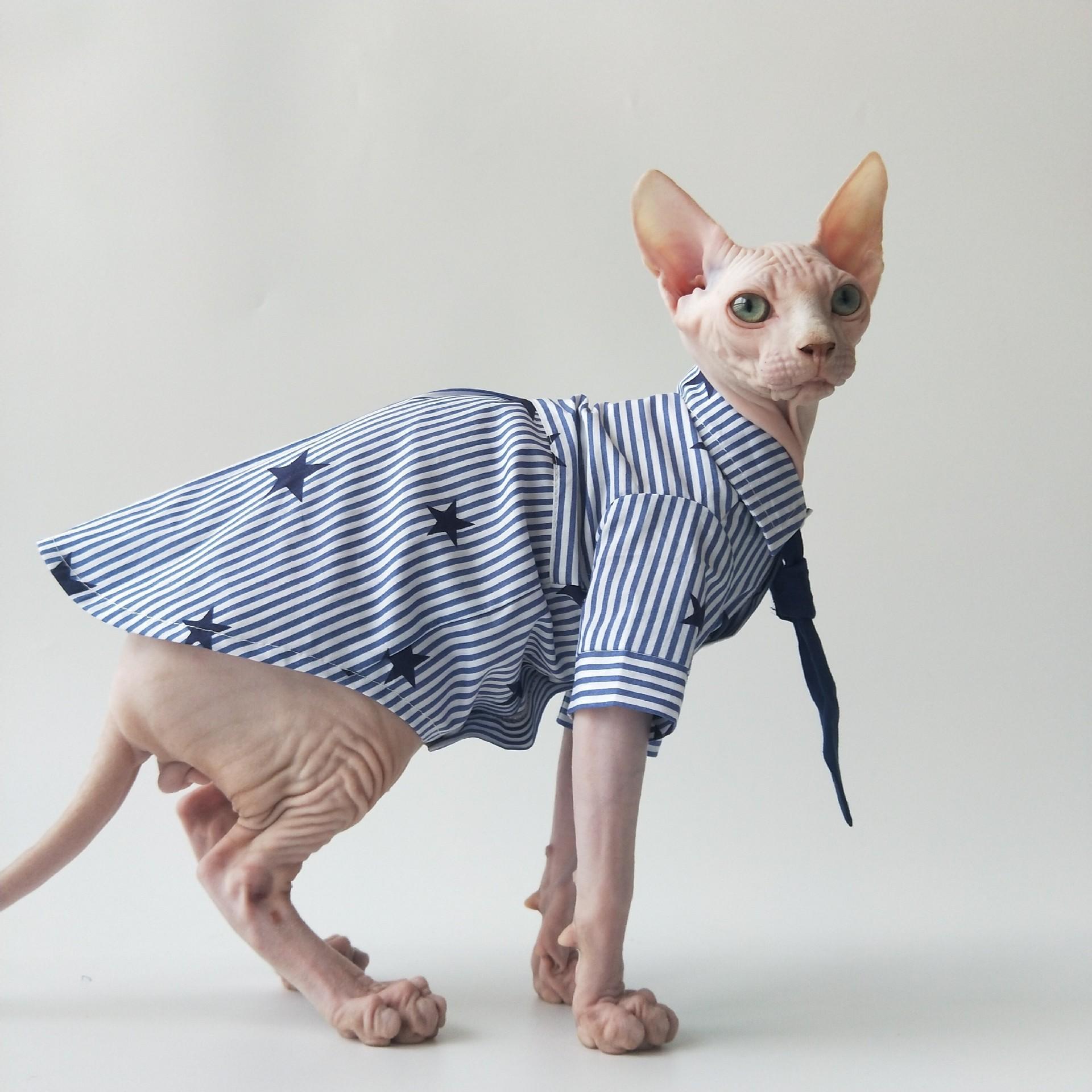 Sphynx Cat Cotton Shirt With Tie Blue Striped With Stars Pattern