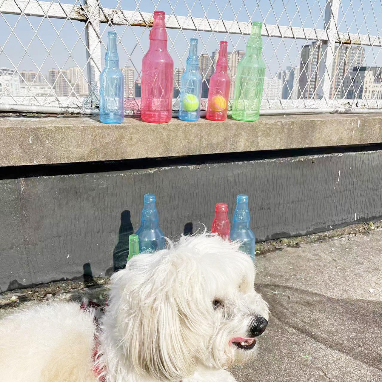 Pet Molar Floating Rubber TPR Tennis Bottle Toy