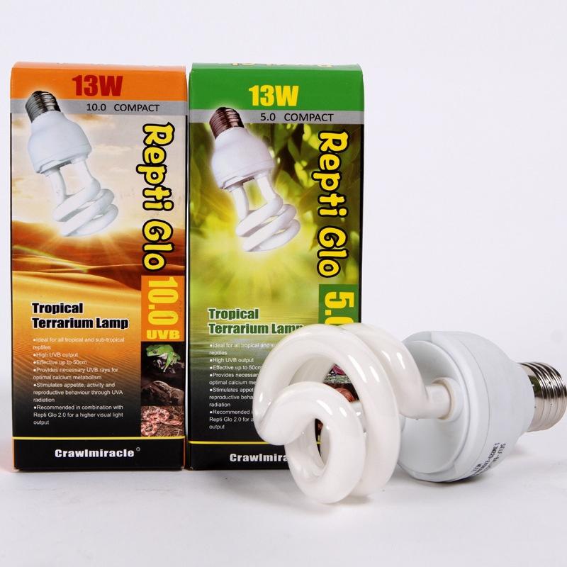 Crawler Lamp Days And Night Light Energy Saving