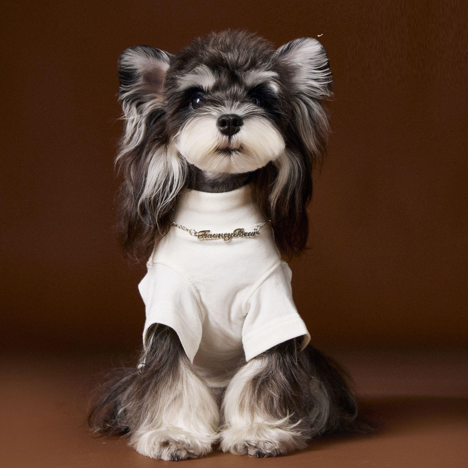 Teddy Schnauzer Bear Handsome Solid Color Bottom Shirt Two Leg Necklace Inner Coat