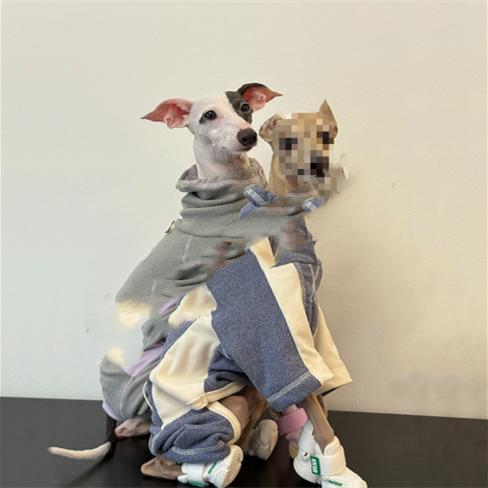 Dog Clothes AutumnWinter Thickened Warm Simple Apparel Sporty Style Four-Leg Base Layer