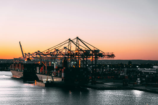 What is ICEGATE & How to Use It: An Importer's Guide