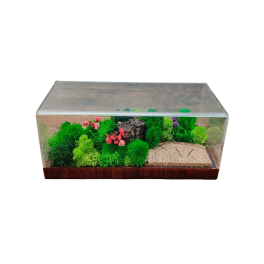 Mini Forest Terrarium