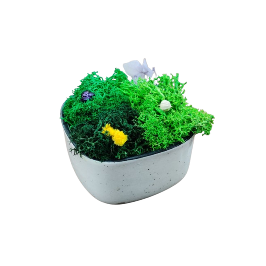 Moss Bow