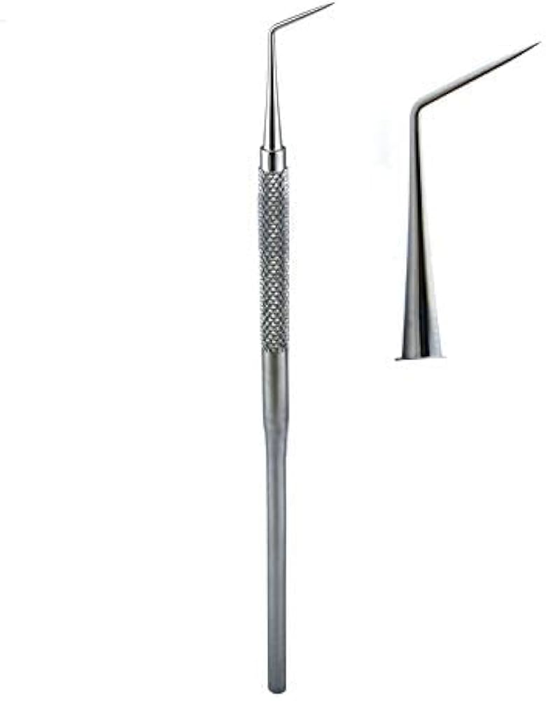 Import Set of 5 Stainless Steel Dental Instruments for Professional Use