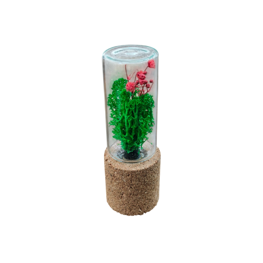 Moss Capsule