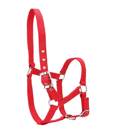 Webbing Horse Halter