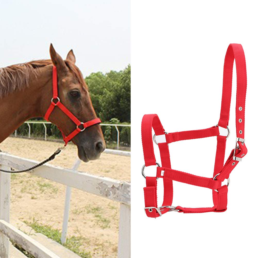 Webbing Horse Halter