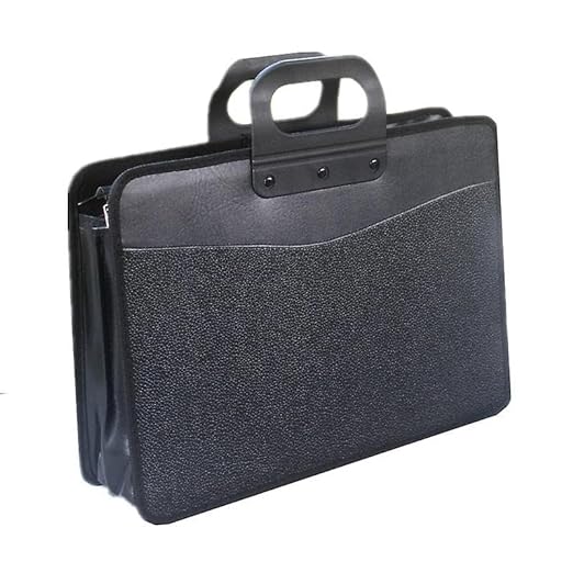 Professional Portfolio File Storage Bag