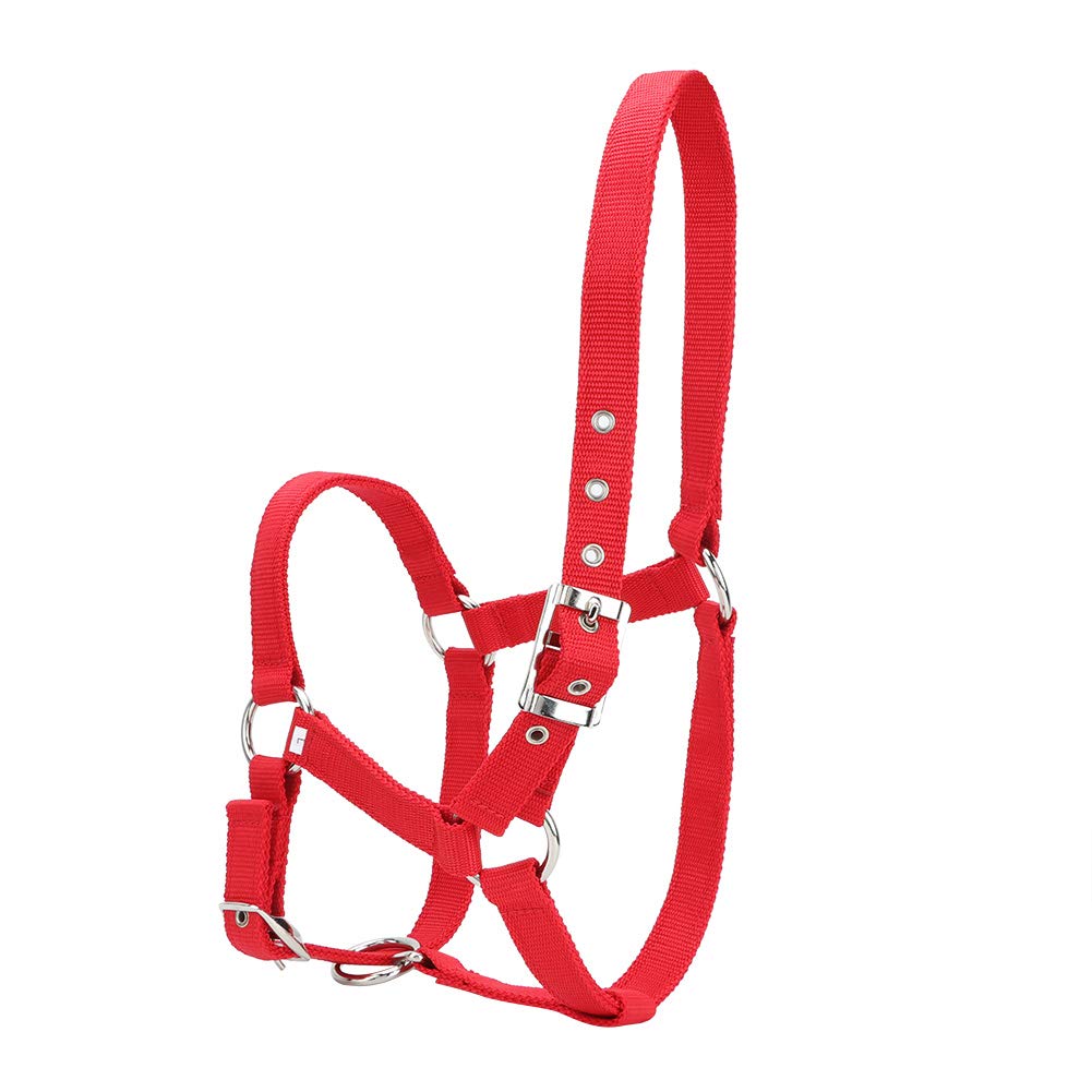 Webbing Horse Halter