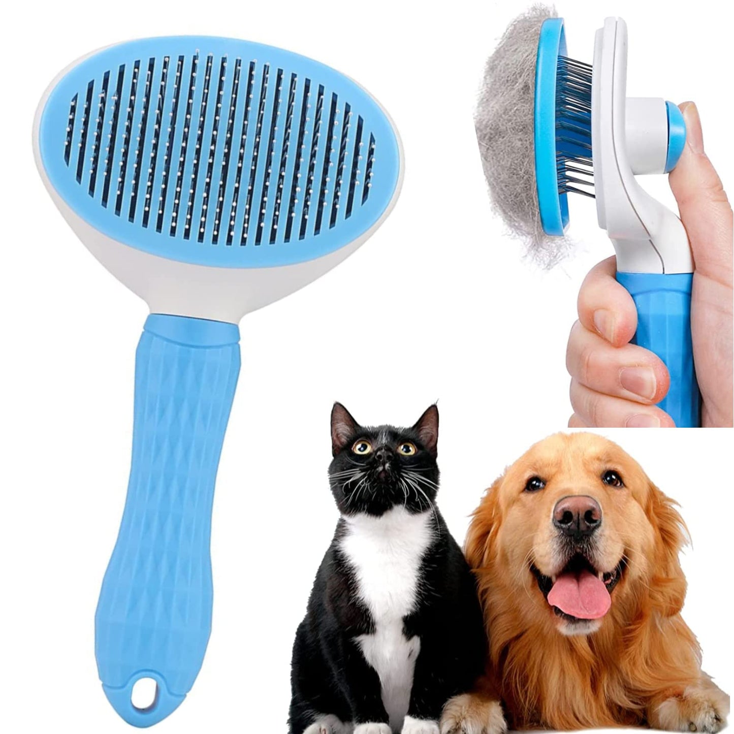 Solado Pet Product Catalogue