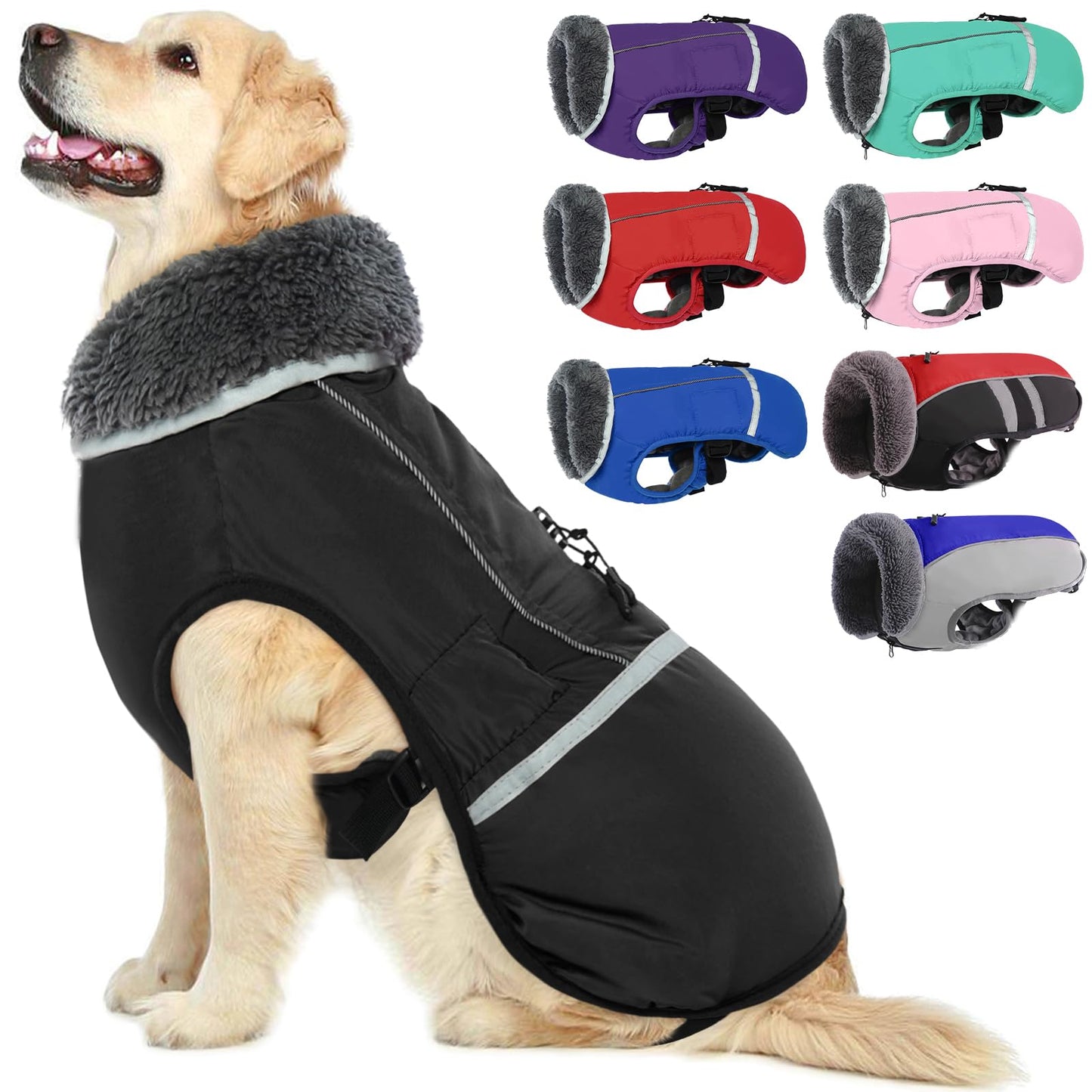 DogLemi Pet Clothing and Shoes Catalogue