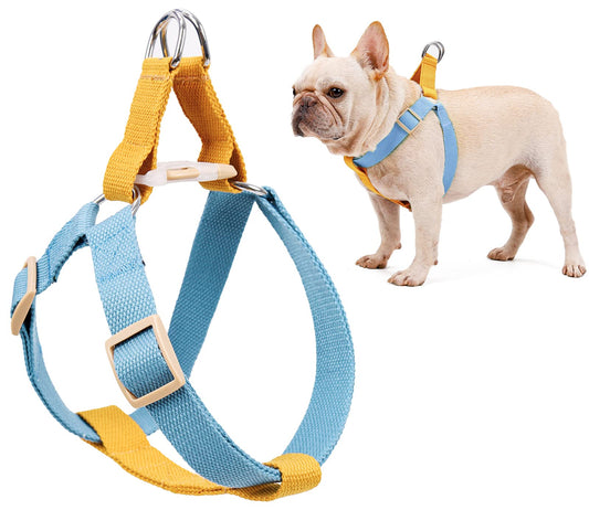 DogLemi Collar, Leash, Harness Catalogue