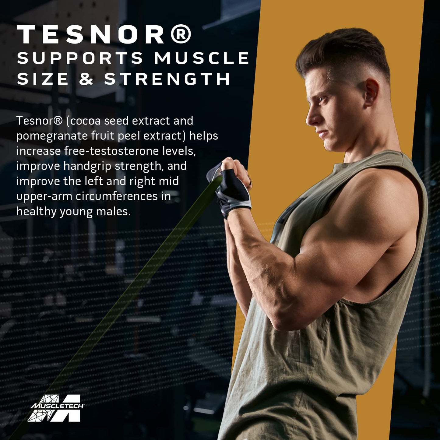 Muscletech Test HD Elite