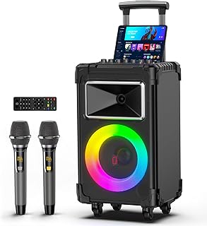 Trolley Professional Sound Box Rechargeable Multimedia DJ Karaoke Wireless Portable Bluetooth PA Wooden Speaker