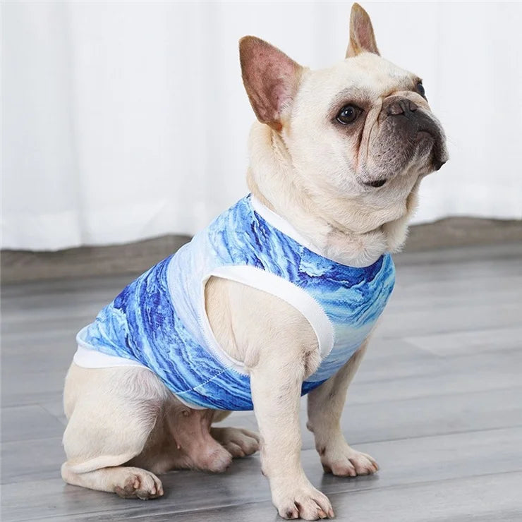 DogLemi Pet Summer Cooling Catalogue