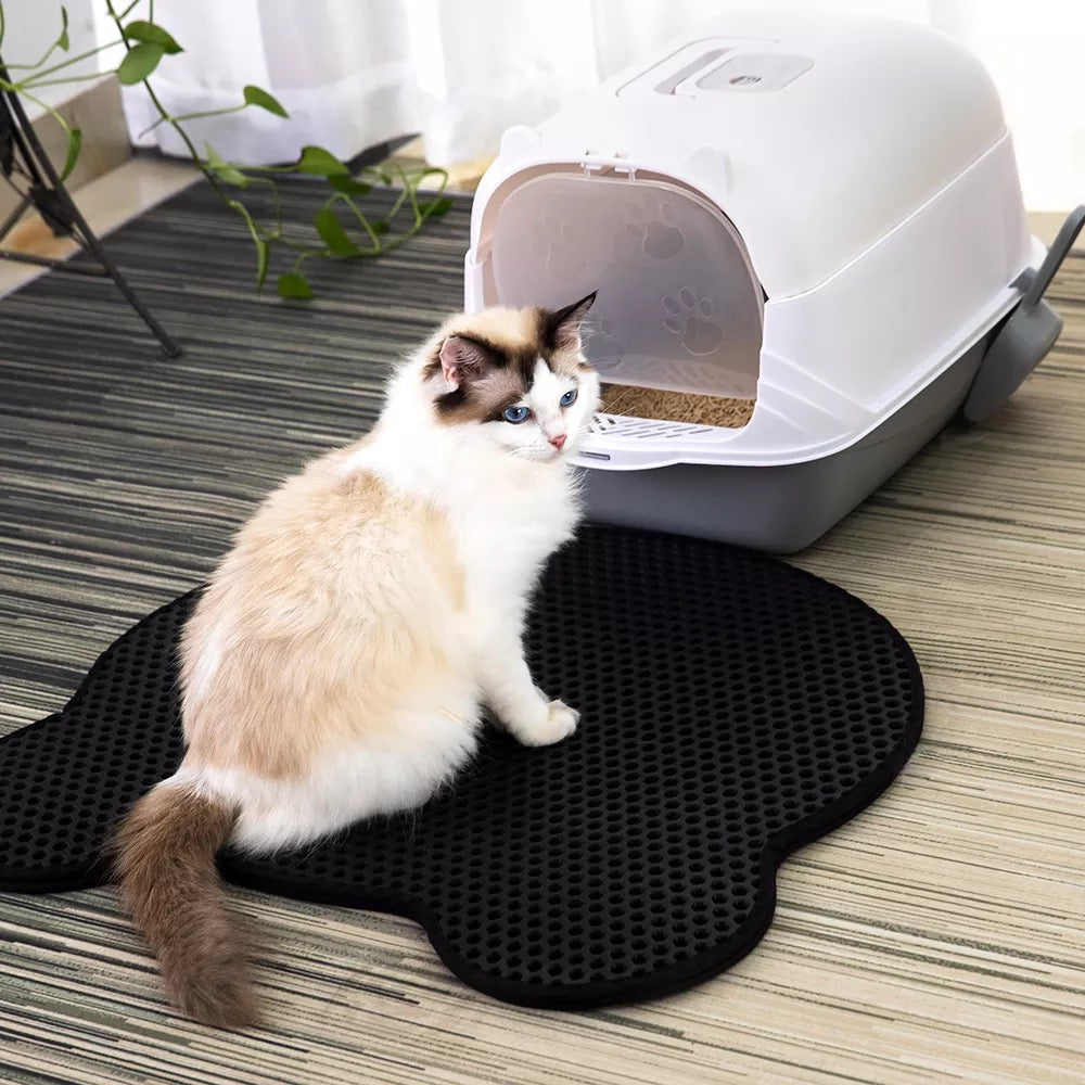 Cat Litter box