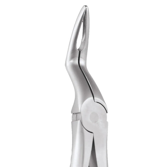 Import Secure SFX845.00 Tooth Forceps - Premium Dental Instrument