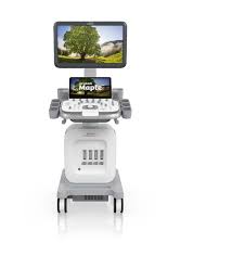 Import ACUSON Ultrasound Color Doppler System - Maple Base Configuration