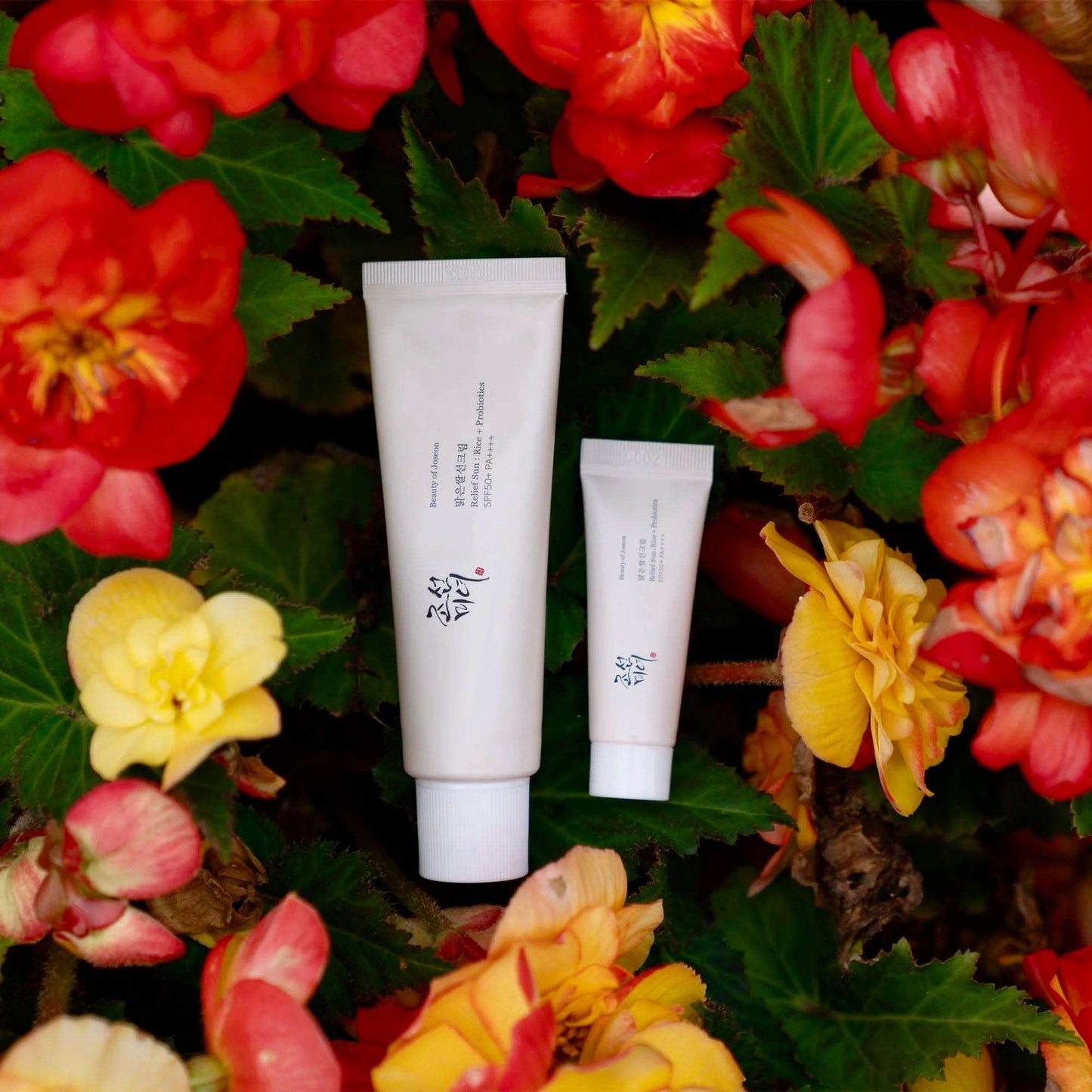 Beauty of Joseon Relief Sun Rice + Probiotics [SPF50+ PA++++]