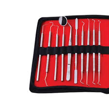 Import Set of 19 Stainless Steel Dental Instruments Kit for Effective Scaling and Cleaning