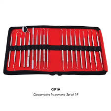 Import Professional 19-Piece Dental Instrument Set with Ring Handle Design and Carrying Case