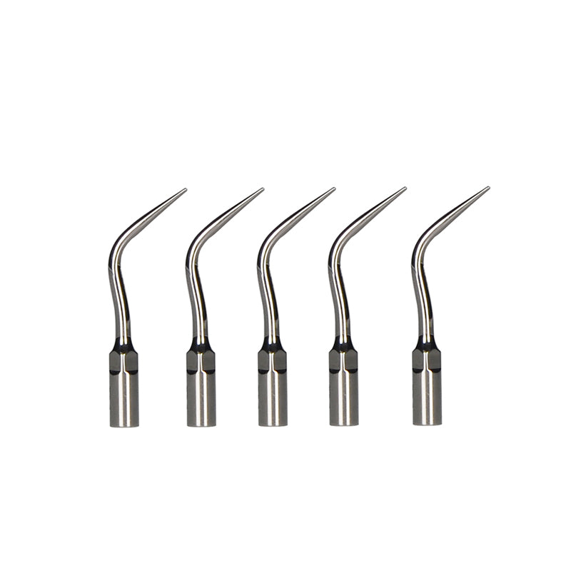 Import TIPS G8 PART - Stainless Steel Ultrasonic Scaler Tip for Efficient Calculus Removal