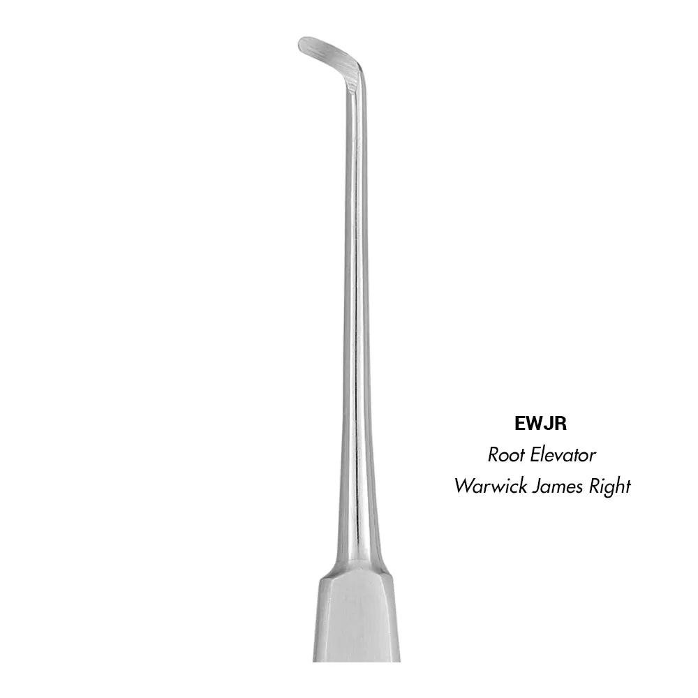 Import R.H PFGFT1 Plastic Filling Instruments for Dental Procedures - Ergonomic, Lightweight, High-Quality