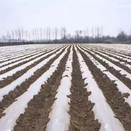 High Quality Agricultural Plastic Mulch Film Sliver Plastic Mulch for Quality Crop Protection