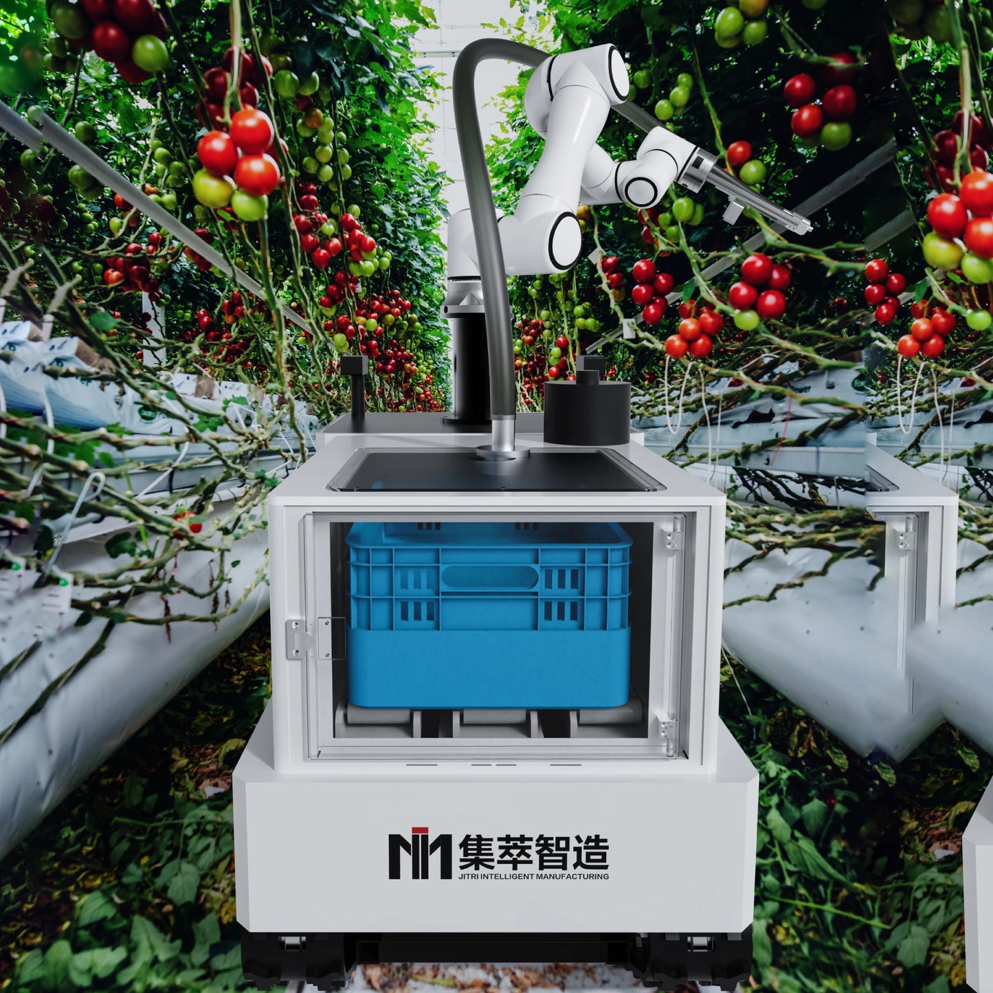 Commercial Smart Collaborative Tomato Picking Robot for Tomato Automatic Picking