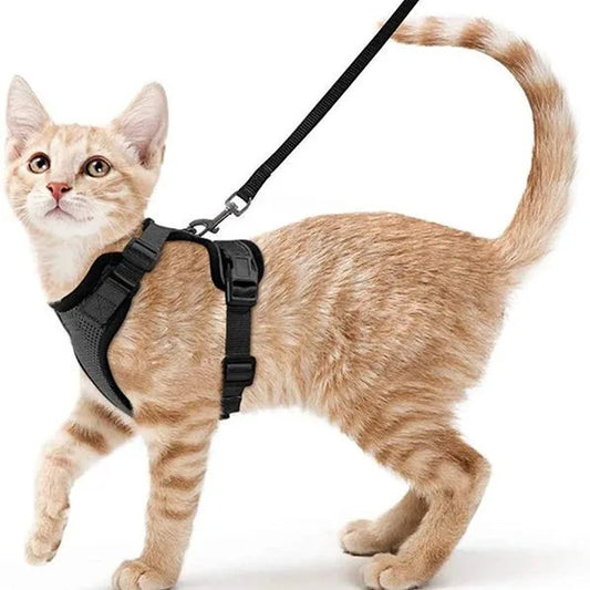 Breathable Air Mesh Reflective Adjustable & Cat Harness and Leash Set for Outdoors Walks Multi Color