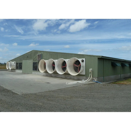 Modern Poultry Farm Chicken Farm Steel Structure Building Light Steel Structure Poultry House