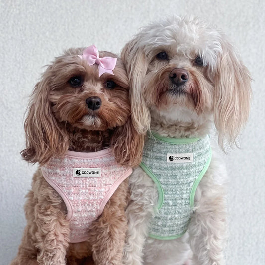 Popular Custom Design Dog Harness Set Pet Collars Leashes Luxury Dog Bandana Collar and Poop Bag Holder Pet Supplies