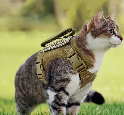 Adjustable Outdoor Tactical Cat Harness Vest-Type Traction Rope Anti-Breakaway Polyester Dog Chain Solid Pattern Small Dog Leash