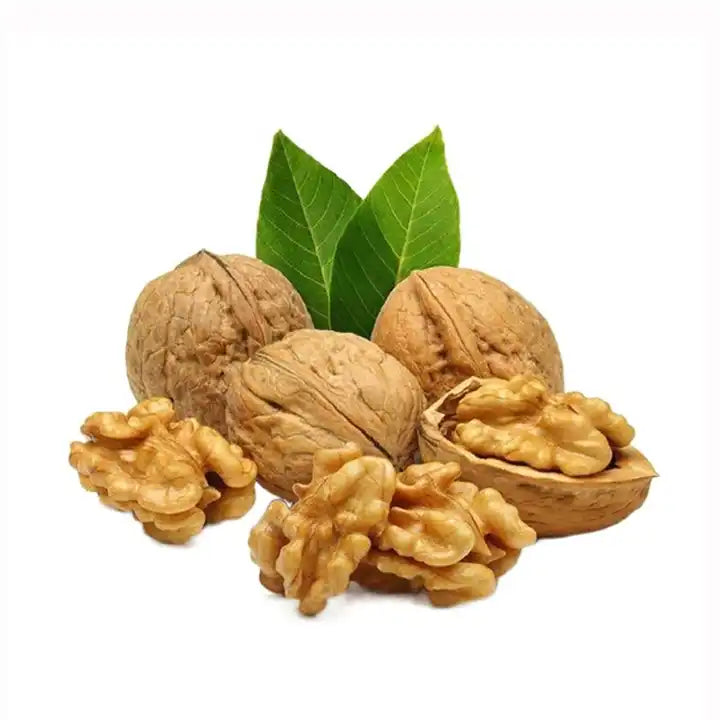 walnuts Factory Supplier  Healthy raw inshell Organic walnuts Food with Walnuts kenrel