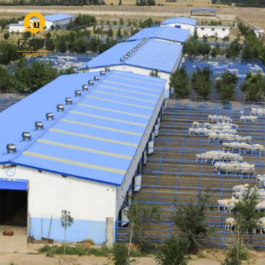 Modern Design Prefab Steel Structure Poultry Farm Shed Chicken Farm House Building