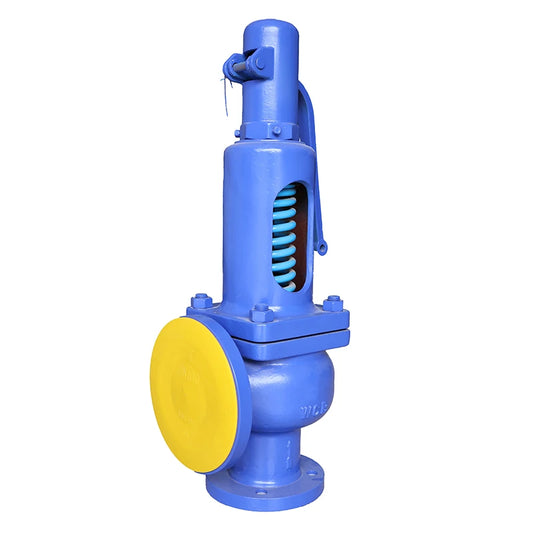 Custom Logo DIN Spring Loaded Pressure Safety Valve DN65/100 Safe Type Valves Steam Boiler Safety Valve