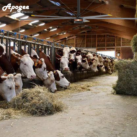 Big Used Industrial HVLS Fans Ceiling for Cow Farm with Energy Saving Motor