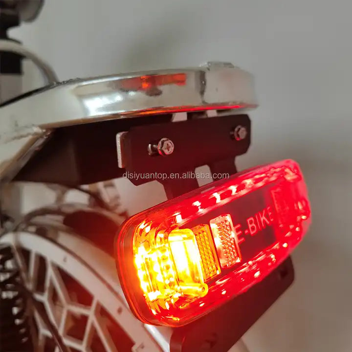 2 in 1 Ebike Scooter Bicycle Turn Functional Tail Light Electric Bike 48v Rear Lamp Light With Logo