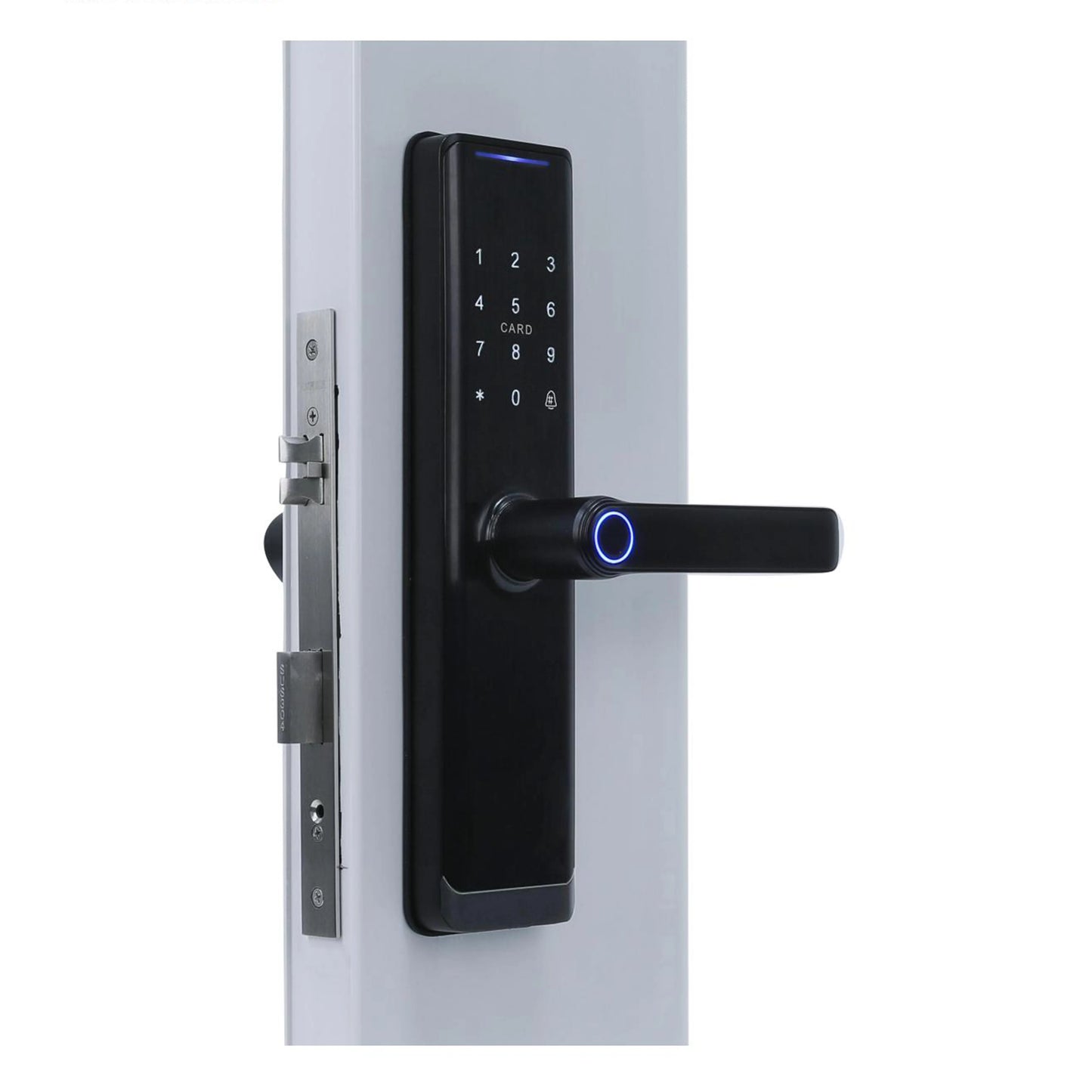 New Product Smart Home Video Voice Fingerprint Tuya Wifi Peer to Peer Cat EyeSmartDoor Lock With Camera